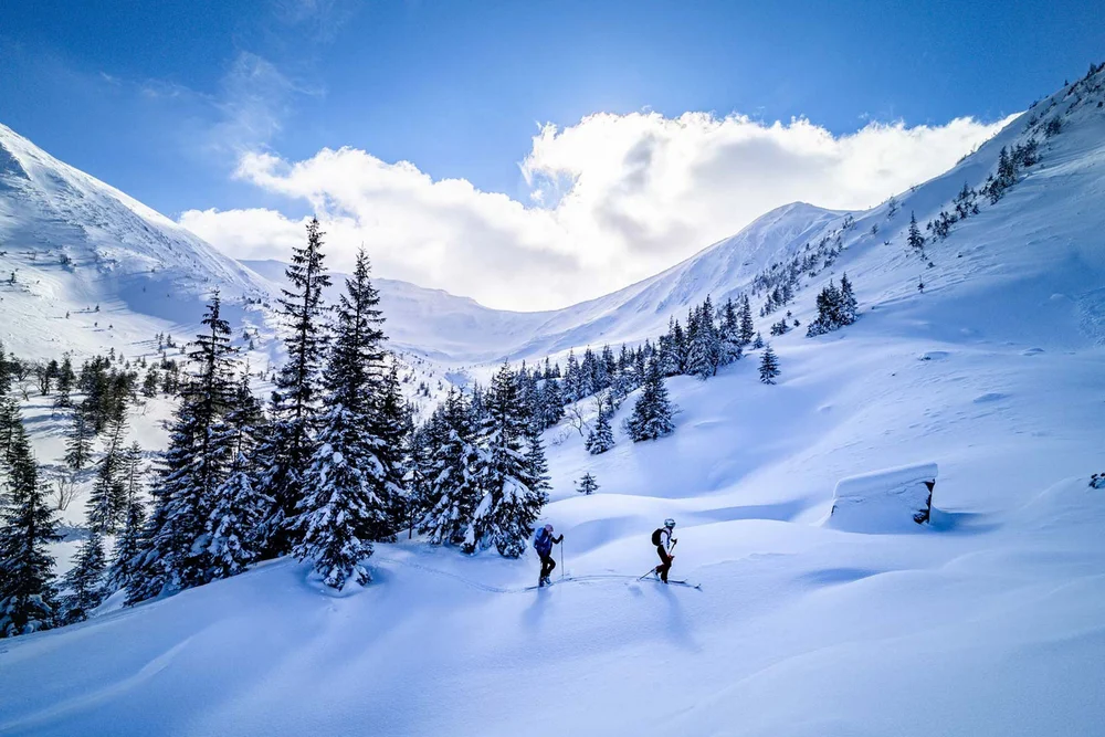 Zwei Skifahrer wandern durch verschneite Berglandschaft mit Tannenbäumen